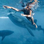 Oslob-Sumilon-Simala Tour